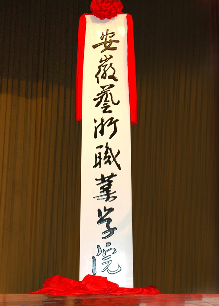 2003年，经省政府批准成立安徽艺术职业学院